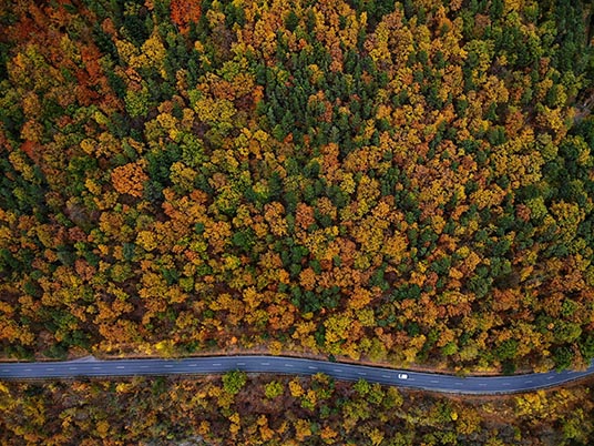 Luchtfoto van een kronkelende weg langs dicht bos in herfstkleuren met een witte auto.